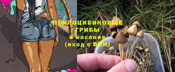 apvp Баксан